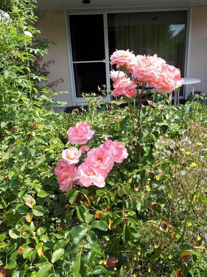 Entire House, Quiet City Location, Garden, Parking بيليفيلد المظهر الخارجي الصورة